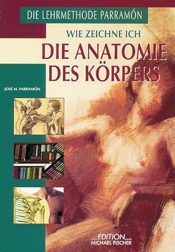 Wie zeichne ich die Anatomie des Körpers,