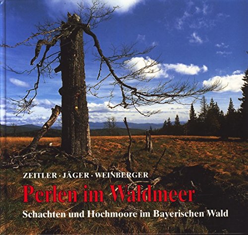 Imagen de archivo de Perlen im Waldmeer. Schachten und Hochmoore im Bayerischen Wald a la venta por medimops