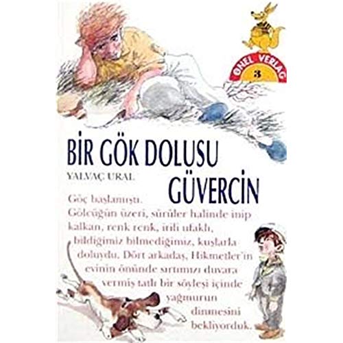 Stock image for Bir Gk Dolusu Gvercin for sale by medimops