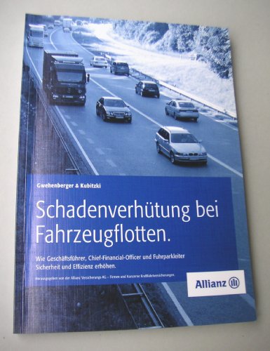 9783924934040: Schadenverhtung bei Fahrzeugflotten: Wie Geschftsfhrer, Chief-Financial-Officer und Fuhrparkleiter Sicherheit und Effizienz erhhen (Livre en allemand)