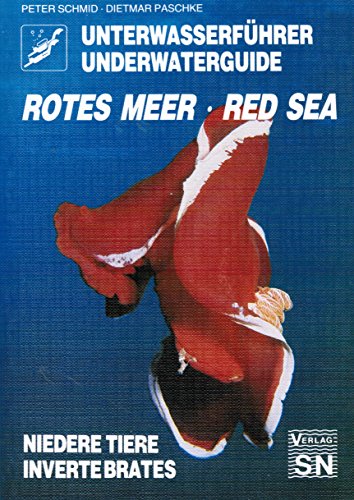 Beispielbild fr Unterwasserfhrer Rotes Meer: Niedere Tiere. Deutsch/ Englisch zum Verkauf von medimops