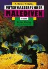 Stock image for Unterwasserfhrer Malediven: Fische / Underwater Guide Maldives: Fish (Ed. Freizeit und Wissen: Unterwasserfhrer, Band 3) for sale by Schueling Buchkurier