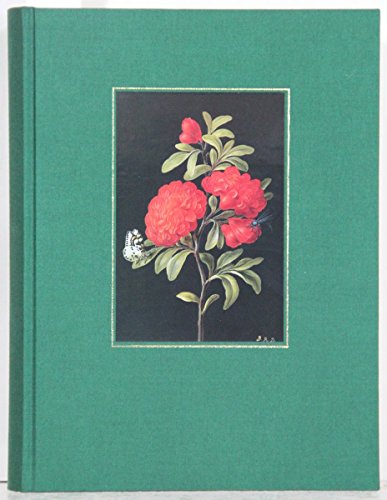 Beispielbild fr Nurnberger Naturgeschichtliche Malerei im 17. und 18. Jahrhundert (Acta Biohistorica) (German Edition) zum Verkauf von Prior Books Ltd