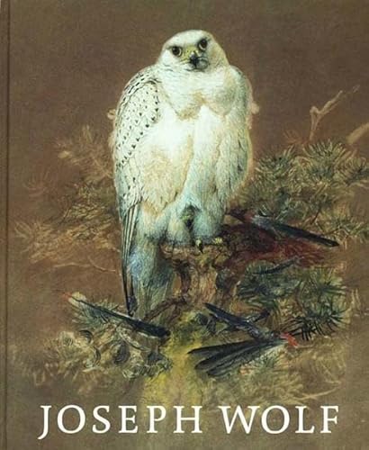 Beispielbild fr Joseph Wolf (1820-1899). Tiermaler. Animal Painter (zweisprachige Ausgabe). zum Verkauf von Antiquariat am St. Vith