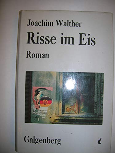Risse im Eis - Roman - Walther, Joachim