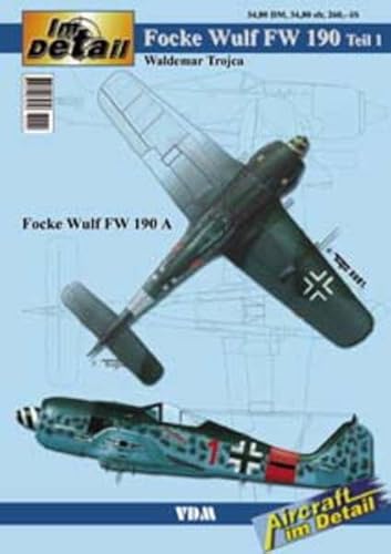 Stock image for Im Detail Focke Wulf FW 190 - Teil 1 for sale by medimops