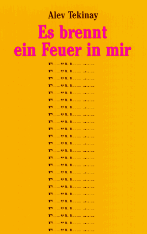 Beispielbild fr Es brennt ein Feuer in mir: Erzahlungen (Literarisches Programm) (German Edition) zum Verkauf von Better World Books