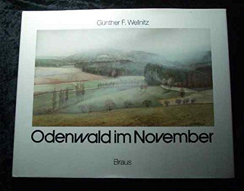 Imagen de archivo de Odenwald im November a la venta por Martin Greif Buch und Schallplatte