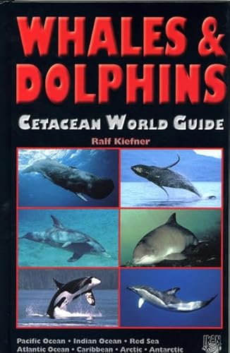 Beispielbild fr Whales and Dolphins: Cetacean World Guide - Pacific Ocean, Indian Ocean, Red Sea, Atlantic Ocean, Caribbean, Arctic, Antarctic zum Verkauf von WorldofBooks