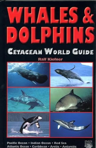 Stock image for Whales and Dolphins: Cetacean World Guide - Pacific Ocean, Indian Ocean, Red Sea, Atlantic Ocean, Caribbean, Arctic, Antarctic for sale by WorldofBooks