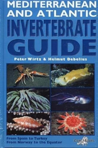 9783925919626: Mediterranean and Atlantic Invertebrate Guide: From Spain to Turkey, from Norway to the Equator