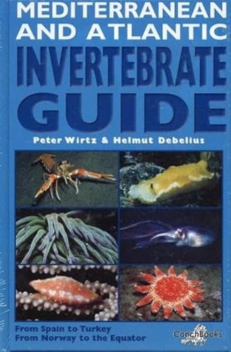 9783925919626: Mediterranean and Atlantic Invertebrate Guide: From Spain to Turkey, from Norway to the Equator