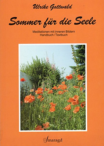 Stock image for Sommer fr die Seele- Meditationen mit inneren Bildern for sale by Alexandre Madeleyn
