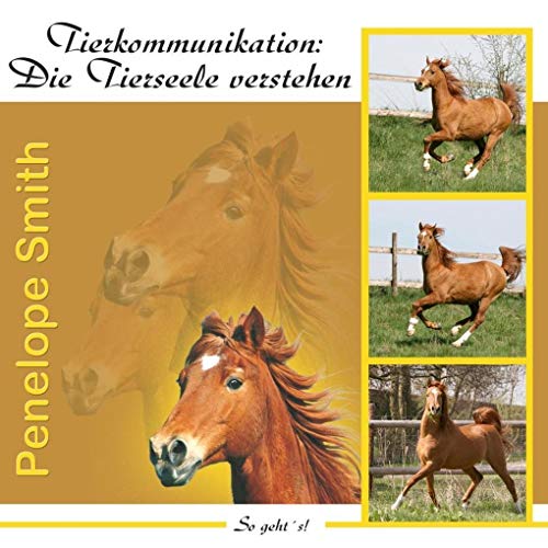 Beispielbild fr Tierkommunikation: Die Tierseele verstehen. Audio-CD zum Verkauf von medimops