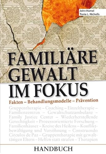 9783927076709: Familire Gewalt im Fokus: Fakten - Behandlungsmodelle - Prvention