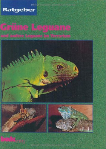 Grüne Leguane, und andere Leguane im Terrarium. ( Ratgeber ).