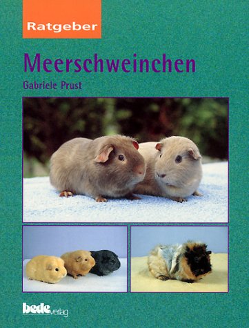 Beispielbild fr Meerschweinchen zum Verkauf von medimops