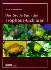 Stock image for Das groe Buch der Tropheus-Cichliden for sale by medimops