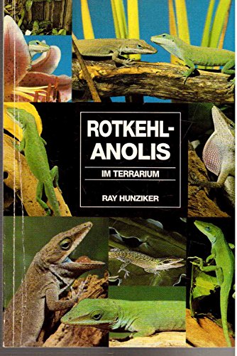 Stock image for Rotkehlanolis im Terrarium for sale by medimops