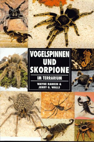 Imagen de archivo de Vogelspinnen und Skorpione im Terrarium a la venta por medimops