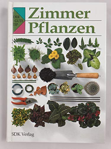 Stock image for Zimmerpflanzen for sale by WorldofBooks