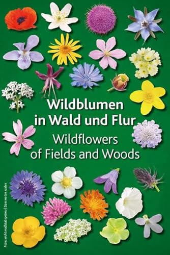 Stock image for Wildblumen in Wald und Flur: Wildflowers of Fields and Woods for sale by medimops