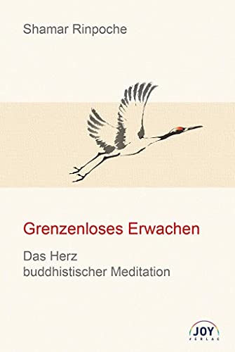 9783928554916: Grenzenloses Erwachen: Das Herz buddhistischer Meditation - Grundlegende Unterweisungen zur Shine- und Lhagthong Praxis