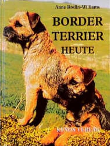 Imagen de archivo de Border Terrier heute a la venta por ThriftBooks-Dallas