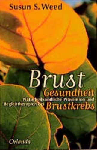 Stock image for BRUST GESUNDHEIT Naturheilkunliche Pravention Und Begleitherapien Bei Brustkrebs for sale by Zane W. Gray, BOOKSELLERS