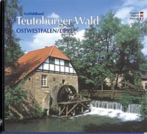 Imagen de archivo de Farbbild-Reise durch Ostwestfalen-Lippe, Teutoburger Wald. a la venta por ThriftBooks-Atlanta