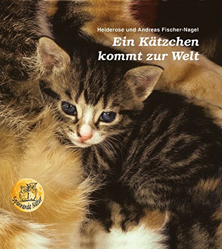 Beispielbild fr Ein Ktzchen kommt zur Welt -Language: german zum Verkauf von GreatBookPrices