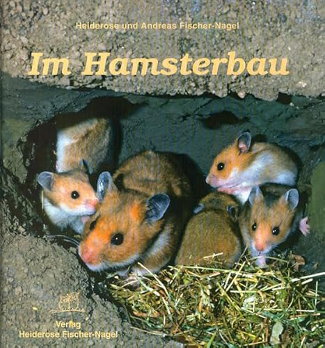 Beispielbild fr Im Hamsterbau zum Verkauf von medimops