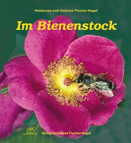 9783930038145: Im Bienenstock