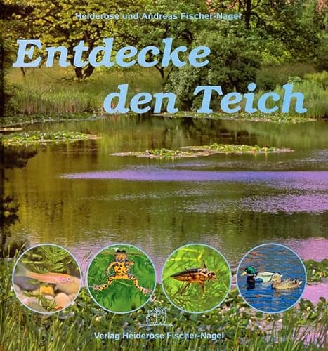 Imagen de archivo de Entdecke den Teich -Language: german a la venta por GreatBookPrices