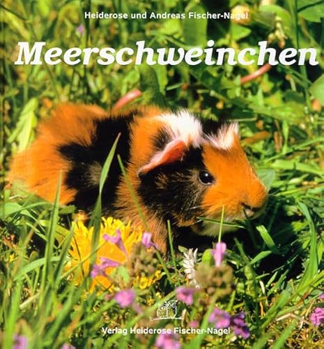 9783930038237: Meerschweinchen