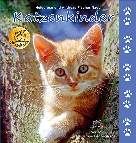 Beispielbild fr Katzenkinder -Language: german zum Verkauf von GreatBookPrices