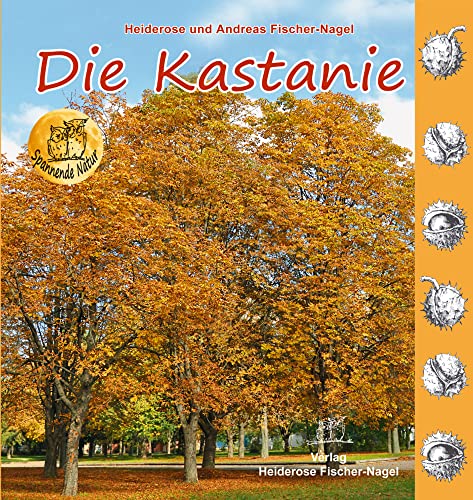 Beispielbild fr Die Kastanie zum Verkauf von Buchmarie