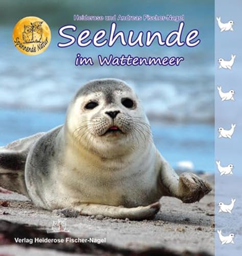 Seehunde im Wattenmeer - Heiderose Fischer-Nagel