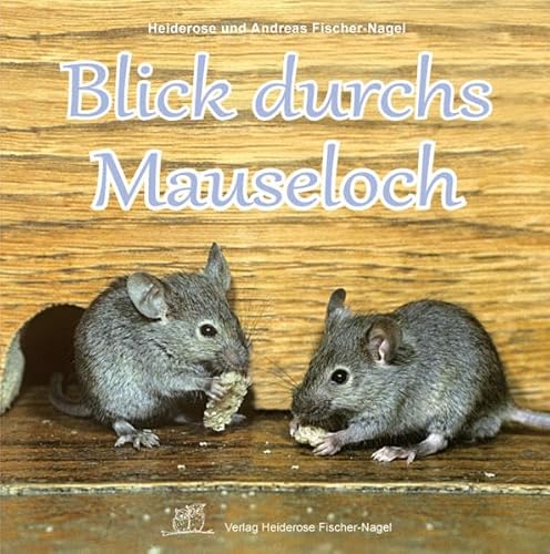 Beispielbild fr Blick durchs Mauseloch zum Verkauf von medimops