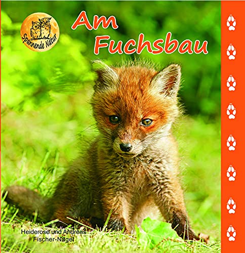 Stock image for Am Fuchsbau -Language: german for sale by GreatBookPrices
