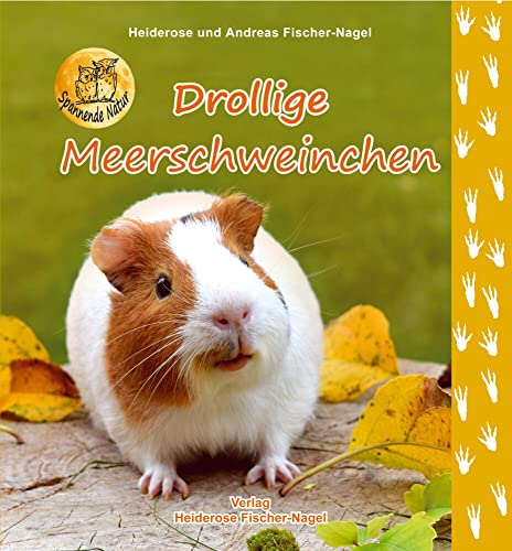 Beispielbild fr Drollige Meerschweinchen -Language: german zum Verkauf von GreatBookPrices