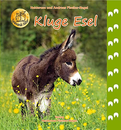 Beispielbild fr Kluge Esel -Language: german zum Verkauf von GreatBookPrices