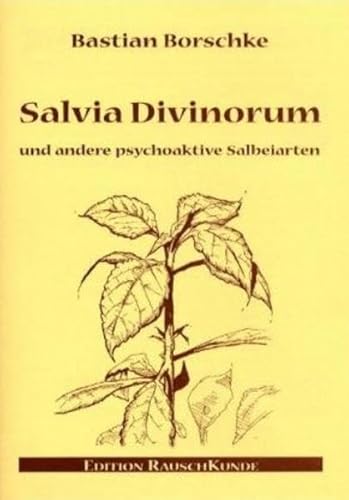 Beispielbild fr Salvia Divinorum und andere psychoaktive Salbeiarten zum Verkauf von Der Ziegelbrenner - Medienversand