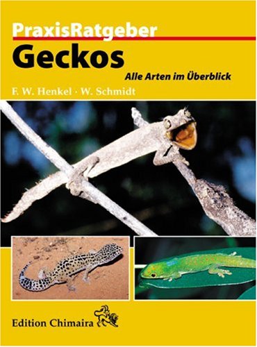 Geckos (9783930612710) by Schmidt, Wolfgang