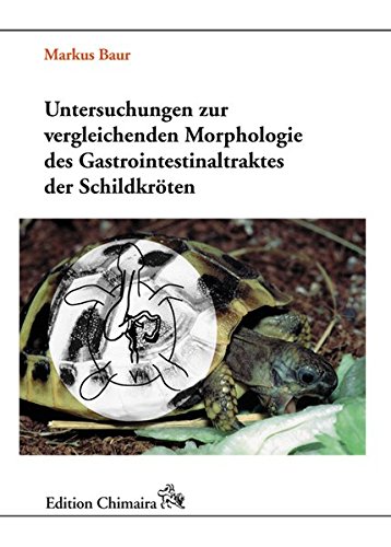9783930612932: Untersuchungen zur vergleichenden Morphologie des Gastrointestinaltraktes der Schildkrten
