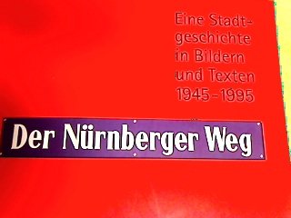 Hans Sachs und Nürnberg Ein Stadtrundgang zum 500. Geburtstag 1994 - Schmidt, Alexander und Bernd Windsheimer (Red.)