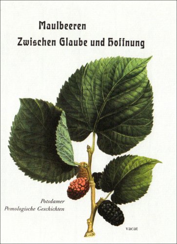 9783930752454: Maulbeeren - Zwischen Glaube und Hoffnung: Potsdamer Pomologische Geschichten
