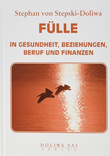 Beispielbild fr FLLE in Gesundheit, Beziehungen, Beruf und Finanzen zum Verkauf von medimops