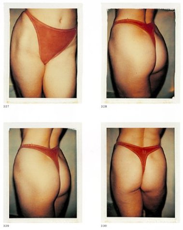 Andy Warhol: Ladies & Gentleman, Sex Parts, Torsos, Polaroids (9783931354282) by Araki, Nobuyoshi