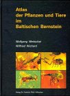 9783931516451: Atlas der Pflanzen und Tiere im Baltischen Bernstein